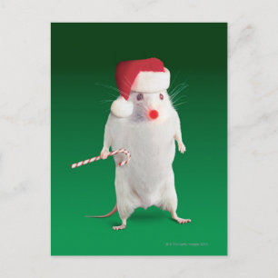 Cartão Postal De Festividades Rato vestido como Papai Noel