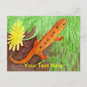 Cartão Postal De Festividades Red Eft Eastern Newt
