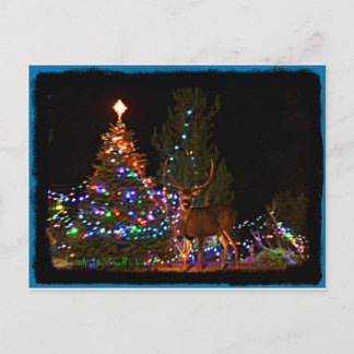 Cartão Postal De Festividades Reindeer and Christmas lights Postcard