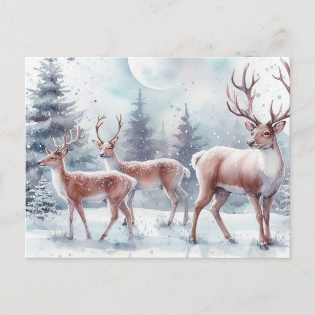 Cartão Postal De Festividades Reindeer de Natal (Frente)