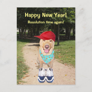 Cartão Postal De Festividades Resolução de Ano Novo Engraçada Personalizável par