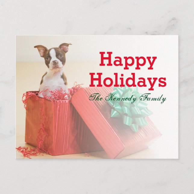 Cartão Postal De Festividades Retrato de um Boston Terrier branco e marrom (Frente)