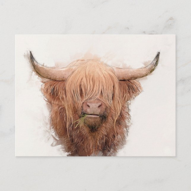 Cartão Postal De Festividades Retrato de Vaca Highland (Frente)