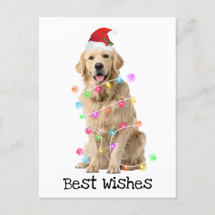 Cartão Postal De Festividades Retriever ouro com Luzes de Natal