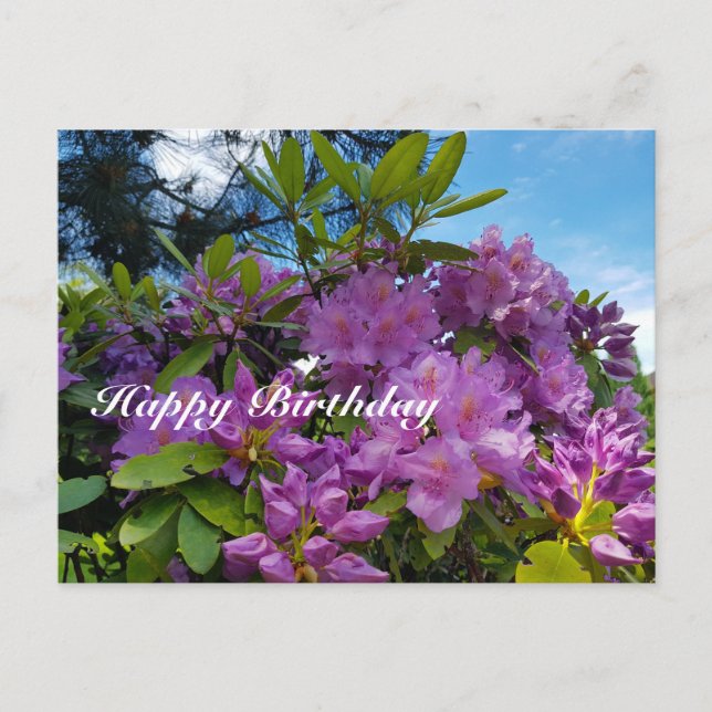 Cartão Postal De Festividades Rhododendron feliz aniversário (Frente)