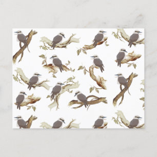 Cartão Postal De Festividades Rindo Kookaburra - Pássaro Australiano Eucalyptus