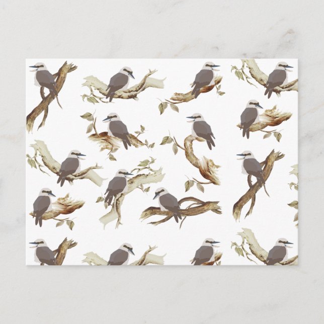 Cartão Postal De Festividades Rindo Kookaburra - Pássaro Australiano Eucalyptus (Frente)