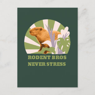 Cartão Postal De Festividades Rodent Bros Nunca Stress Capybara