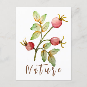 Cartão Postal De Festividades Rosa de aquarela