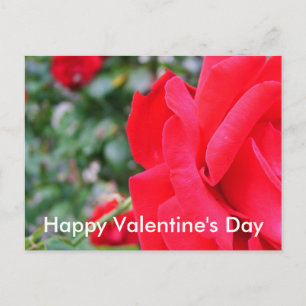 Cartão Postal De Festividades Rosa vermelha, feliz dia de São Valentim