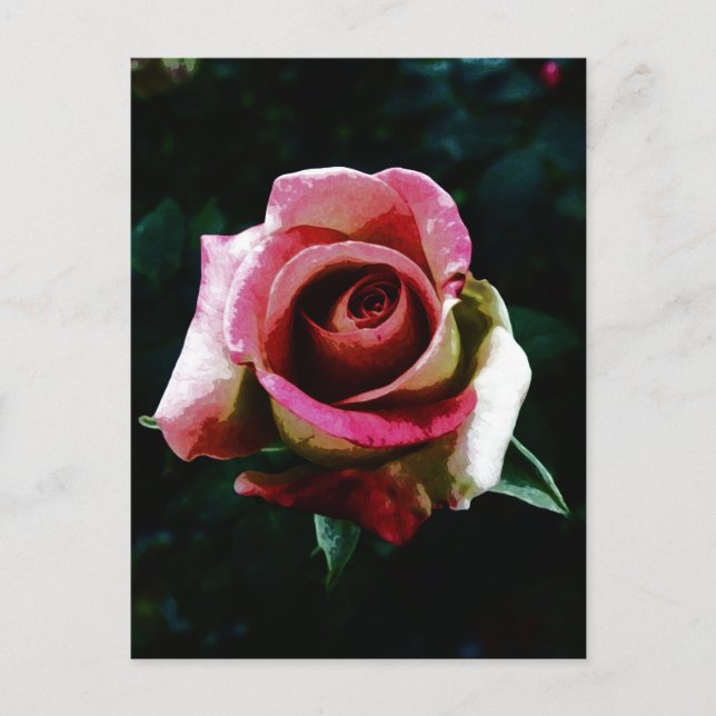 Cartão Postal De Festividades Rosa vermelha pintada com óleo (Frente)