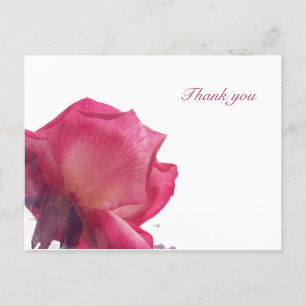 Cartão Postal De Festividades Rosas Rosas. Ilustração Floral
