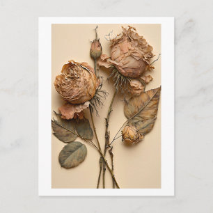 Cartão Postal De Festividades Rosas Secos Cartão-postal floral Impressão