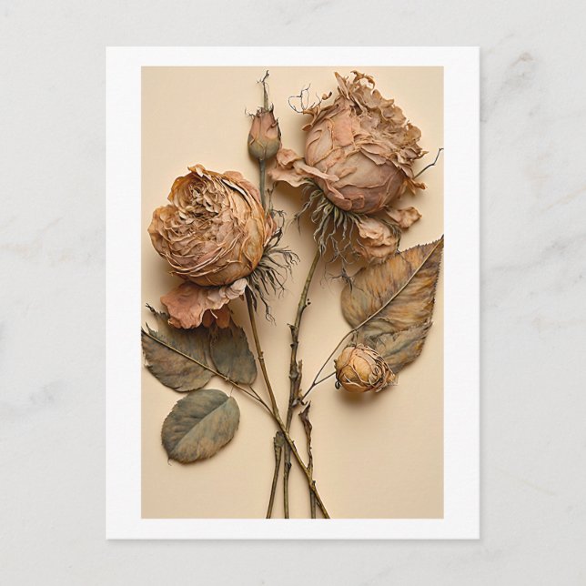 Cartão Postal De Festividades Rosas Secos Cartão-postal floral Impressão (Frente)