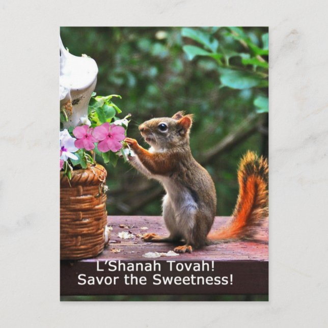 Cartão Postal De Festividades Rosh Hashanah Cards Gifts (Frente)