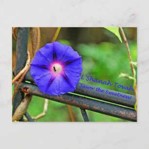 Cartão Postal De Festividades Rosh Hashanah Cards Gifts