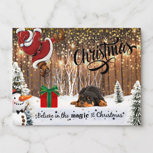 Cartão Postal De Festividades Rottweiler, Papai Noel, Cartão de Natal