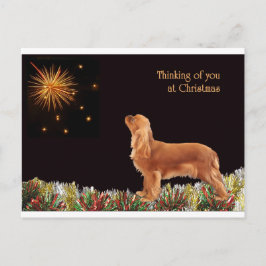 Cartão Postal De Festividades Ruby Christmas Cavalier