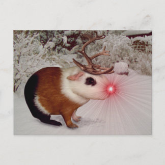 Cartão Postal De Festividades Rudolph O Porco Vermelho Nosed Guiné