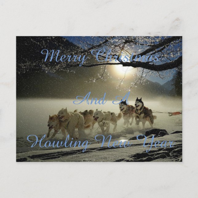 Cartão Postal De Festividades Running dogs in snow postcard (Frente)