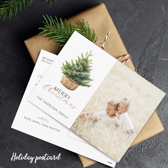Cartão Postal De Festividades Rustic Christmas Tree In Basket Photo (Rustic Christmas Tree In Basket Flat Holiday Card)