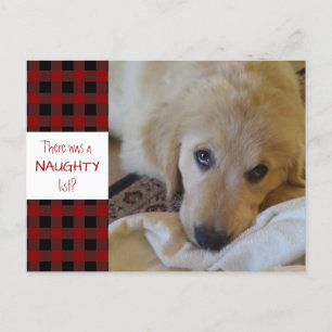 Cartão Postal De Festividades Rustic Pet NAUGHTY LIST Red Buffalo Xadrez Engraç