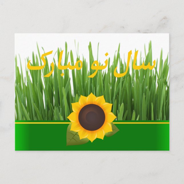 Cartão Postal De Festividades Sabzeh de Girassol Verde Ano Novo Persa Nowruz (Frente)