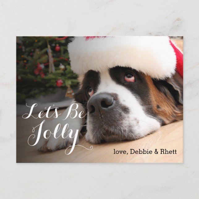 Cartão Postal De Festividades Saint Bernard dog with Santa Hat (Frente)