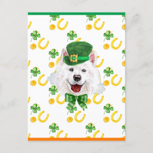 Cartão Postal De Festividades Samoyed Shamrock Dia de São Patrício