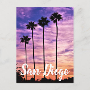 Cartão Postal De Festividades San Diego Palm Tree Sunset