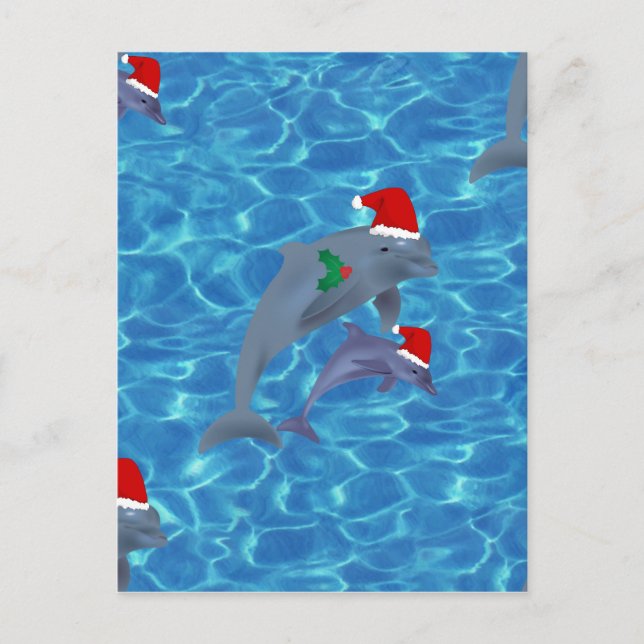 Cartão Postal De Festividades santa claus dolphins (Frente)