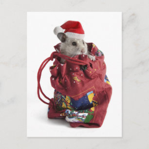 Cartão Postal De Festividades Santa Claus Hamster