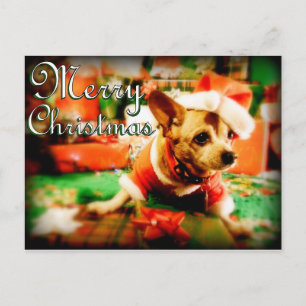 Cartão Postal De Festividades Santa Clause Chihuahua Felry Natal