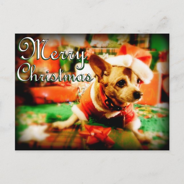 Cartão Postal De Festividades Santa Clause Chihuahua Felry Natal (Frente)