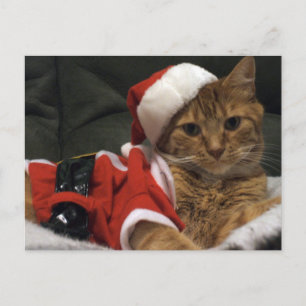 Cartão Postal De Festividades Santa Claws