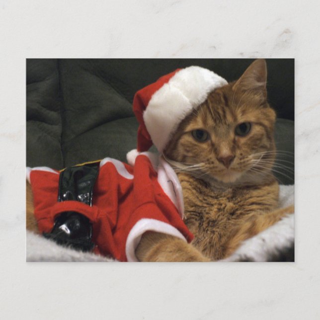 Cartão Postal De Festividades Santa Claws (Frente)