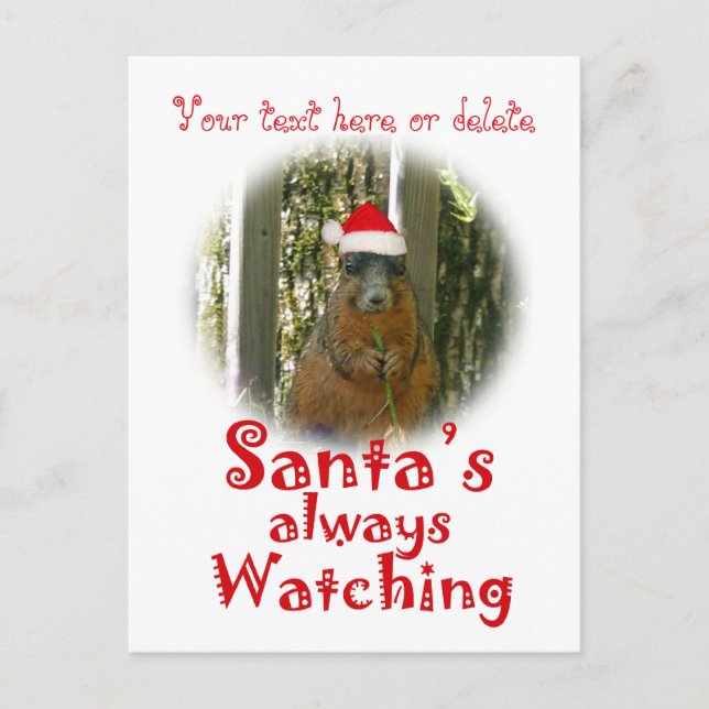 Cartão Postal De Festividades Santa Squirrel is always watching (Frente)