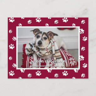 Cartão Postal De Festividades Saudações de Fim de Ano! Foto de Cachorro com Pega