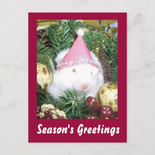 Cartão Postal De Festividades Saudações de Hamster Season