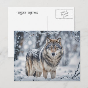 Cartão Postal De Festividades Saudações de Natal Lobo no Neve
