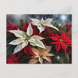 Cartão Postal De Festividades Saudações de Poinsettia Season