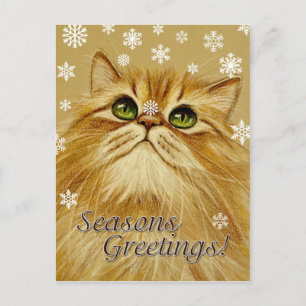 Cartão Postal De Festividades Saudações de Sessão Cat & Snow - Cartão-postal