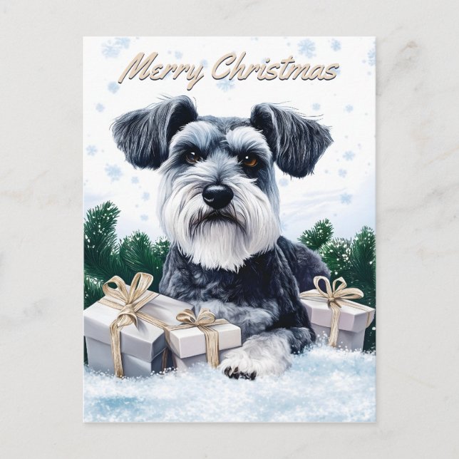 Cartão Postal De Festividades Schnauzer Christmas (Frente)