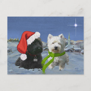 Cartão Postal De Festividades Scottie e Westie Estrela de Natal