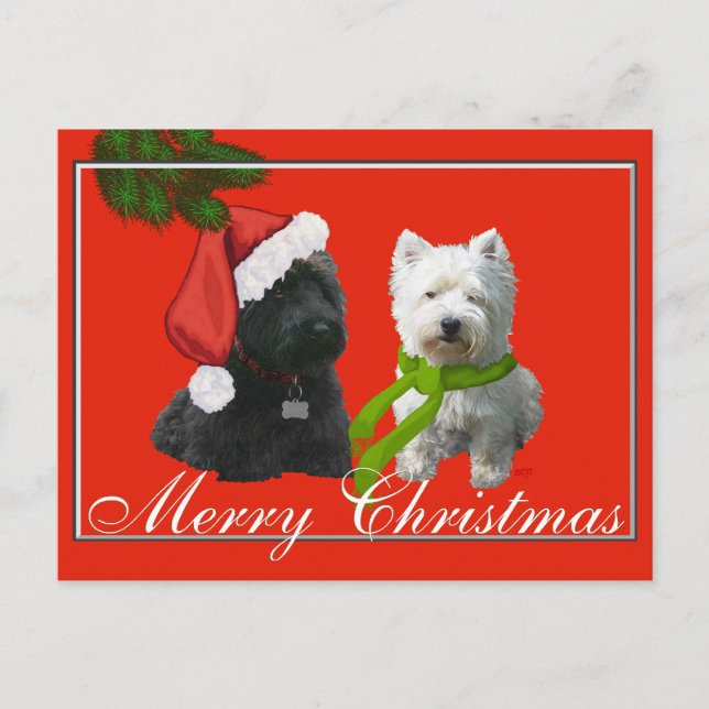 Cartão Postal De Festividades Scottie e Westie Feliz Natal (Frente)