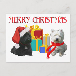 Cartão Postal De Festividades Scottie e Westie Feliz Natal