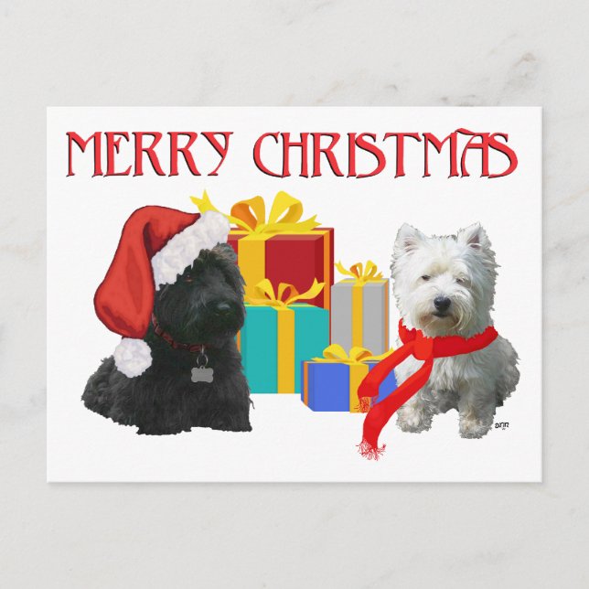 Cartão Postal De Festividades Scottie e Westie Feliz Natal (Frente)