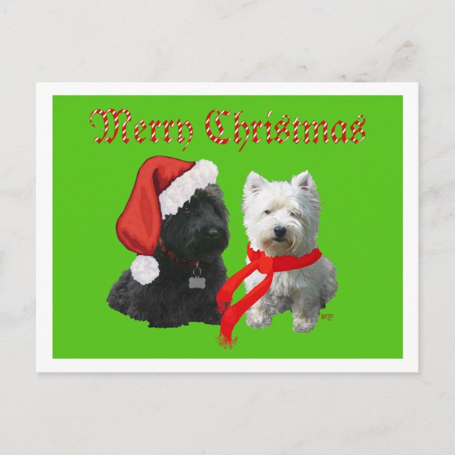 Cartão Postal De Festividades Scottie e Westie Feliz Natal (Frente)