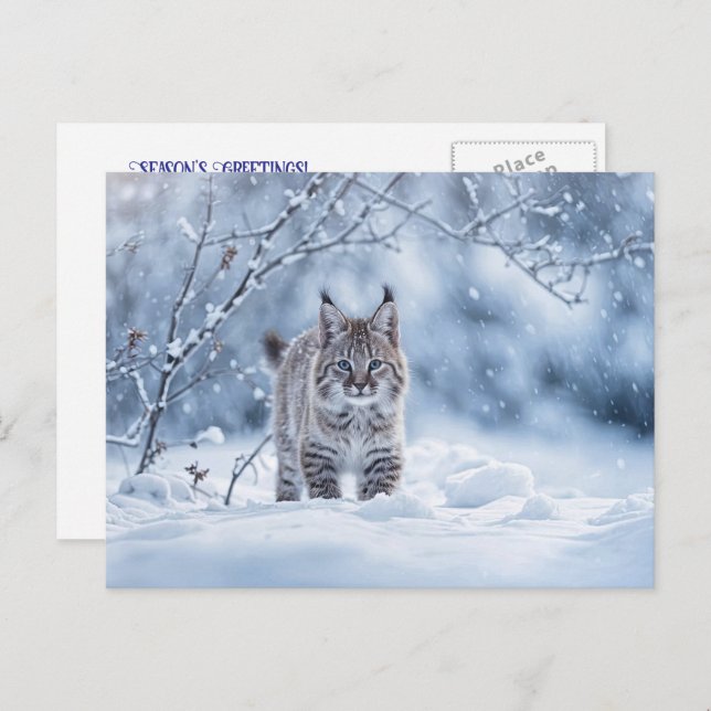 Cartão Postal De Festividades Seasons Greeting Holiday Bobcat Snow (Frente/Verso)