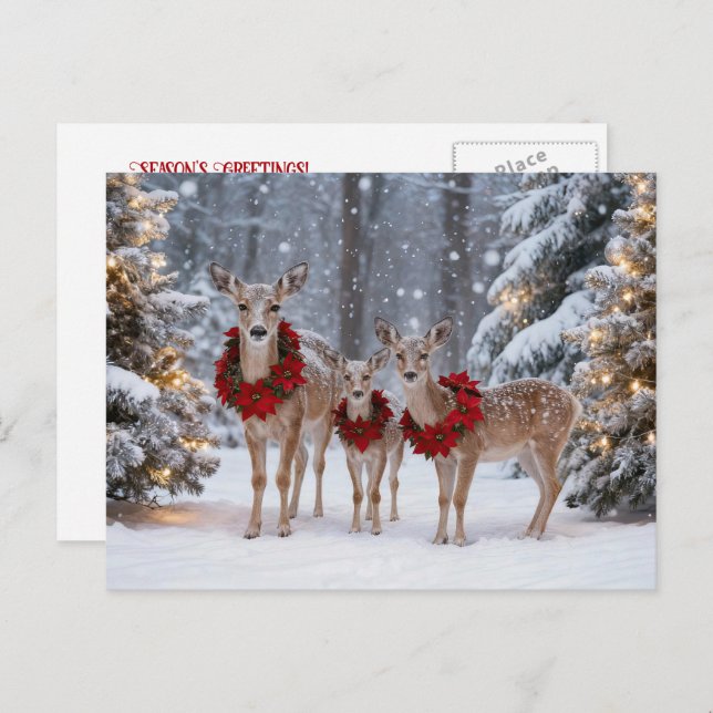 Cartão Postal De Festividades Seasons Greeting Holiday Deer Wreaths (Frente/Verso)